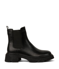 BLACK / 36
