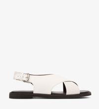 WHITE / 36